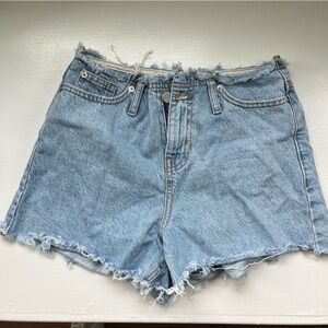 Raw Hem BDG Denim Shorts